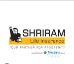 Sales Manager