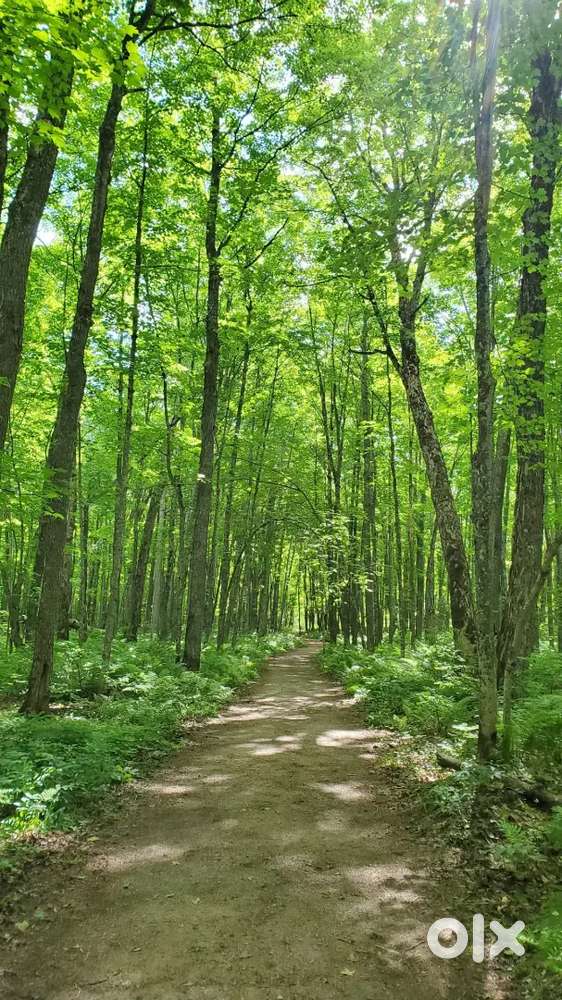 Cross massage only we need female no age limit immediately