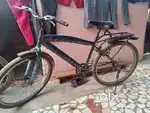 hercules cycile