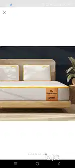 Sleepy cat latex mattress queen size