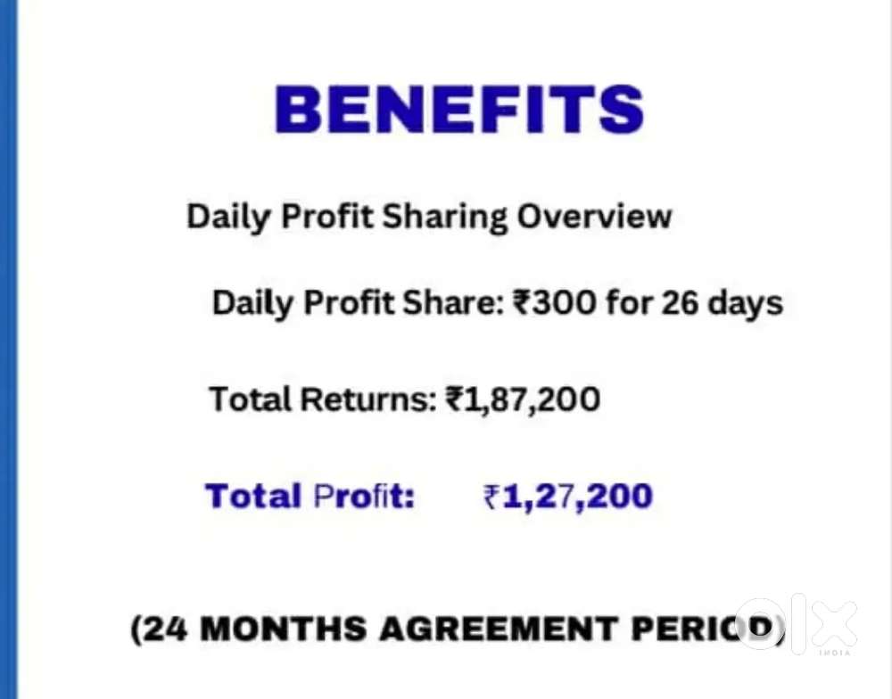 Investor for travels business