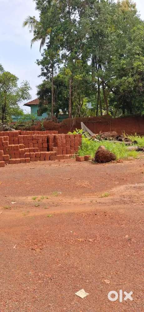 11.50 cent സ്ഥലം വിൽകുന്നു