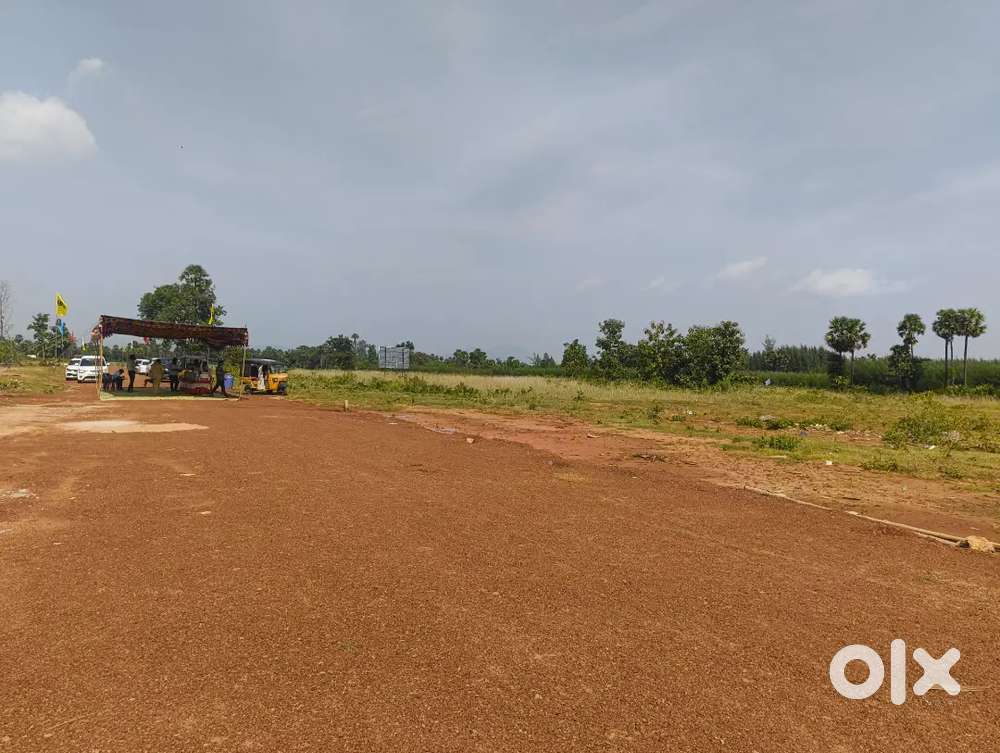 Plot for sale near bhogapuram registration office