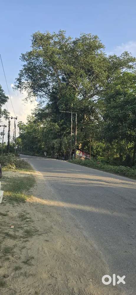 High Land Plot avalible 500 metter district to Bypass