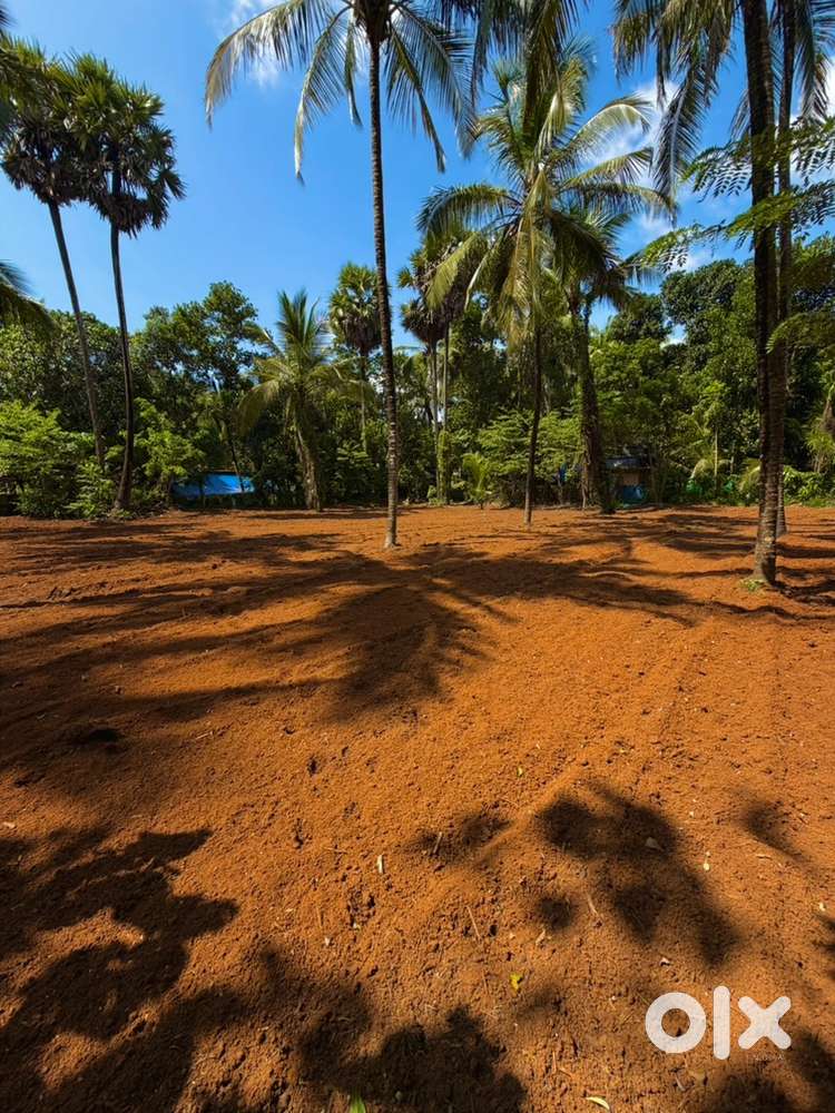 Residential plots for sale.