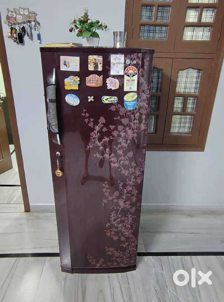LG 5 star fridge