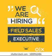 WANTED SALES EXECUTIVES