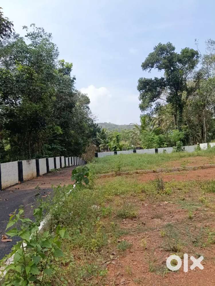 വീടുവയ്ക്കാനും ഇൻവെസ്റ്റ്മെന്റിനും