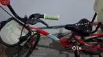 BSA champ cycle