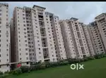 Flatmate required  JP Classic  9000 + maintenance