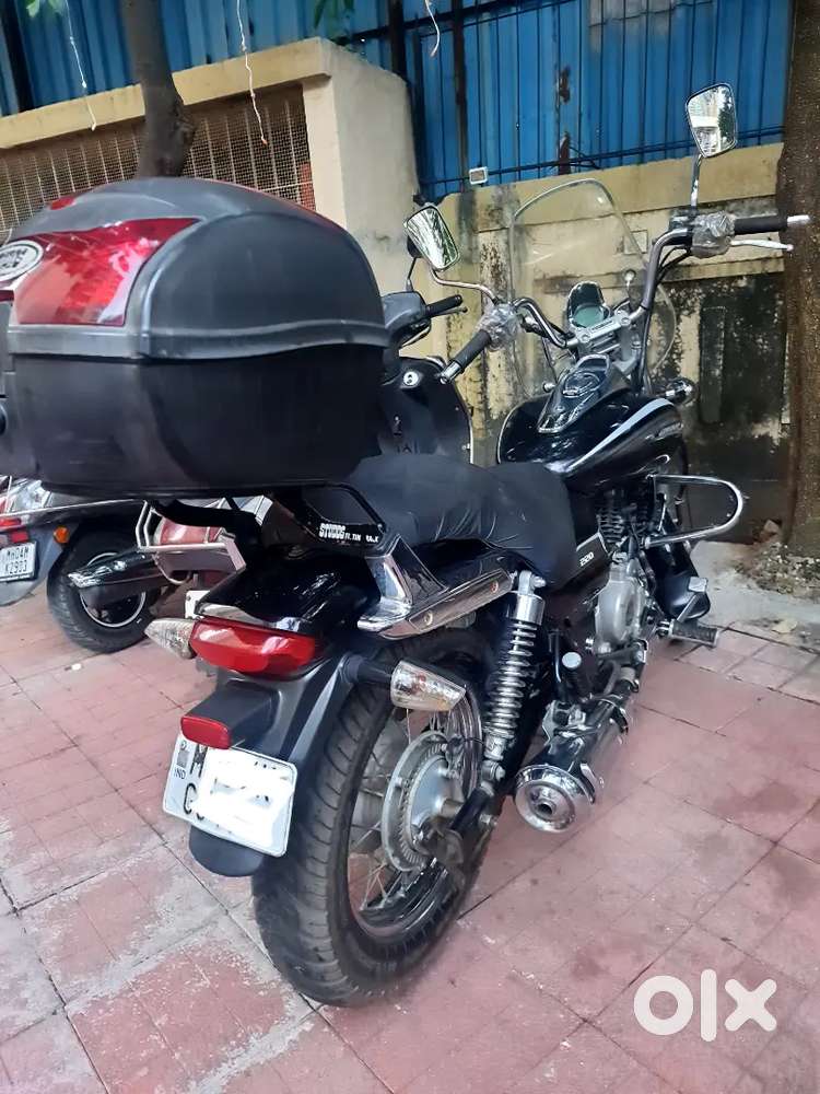 Bajaj  Avenger with studds top box 2019