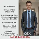 COLLECTION EXECUTIVE