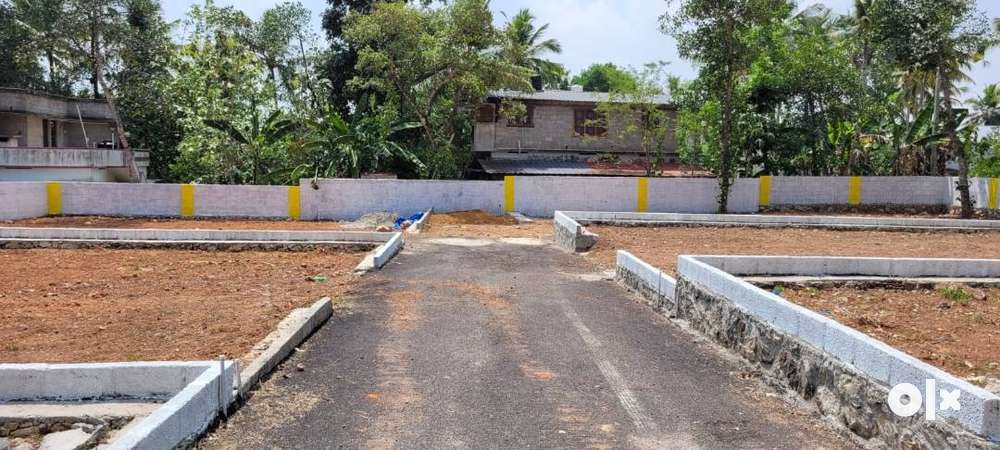 Housing Plots Near St Thomas Public School Narikkal
