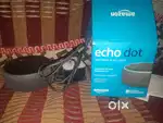 Echo dot alexa