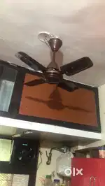 Celing fans 2