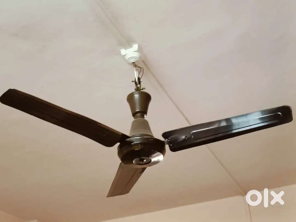 ,water geyser , celling Fan superb condition