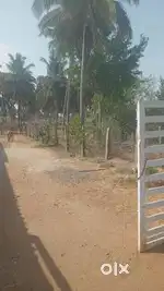Land for Sale in Chettipalayam- Amazon Warehouse Area-Cent 1.75 Lakhs
