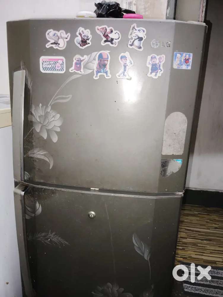 LG 285Liter Double Door Fridge