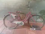 1Ladybird bicycle and city panda small bicycle