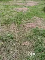 पावणे दोन गुंठे Gunthewari Plot Eklahra Road Nashik Road