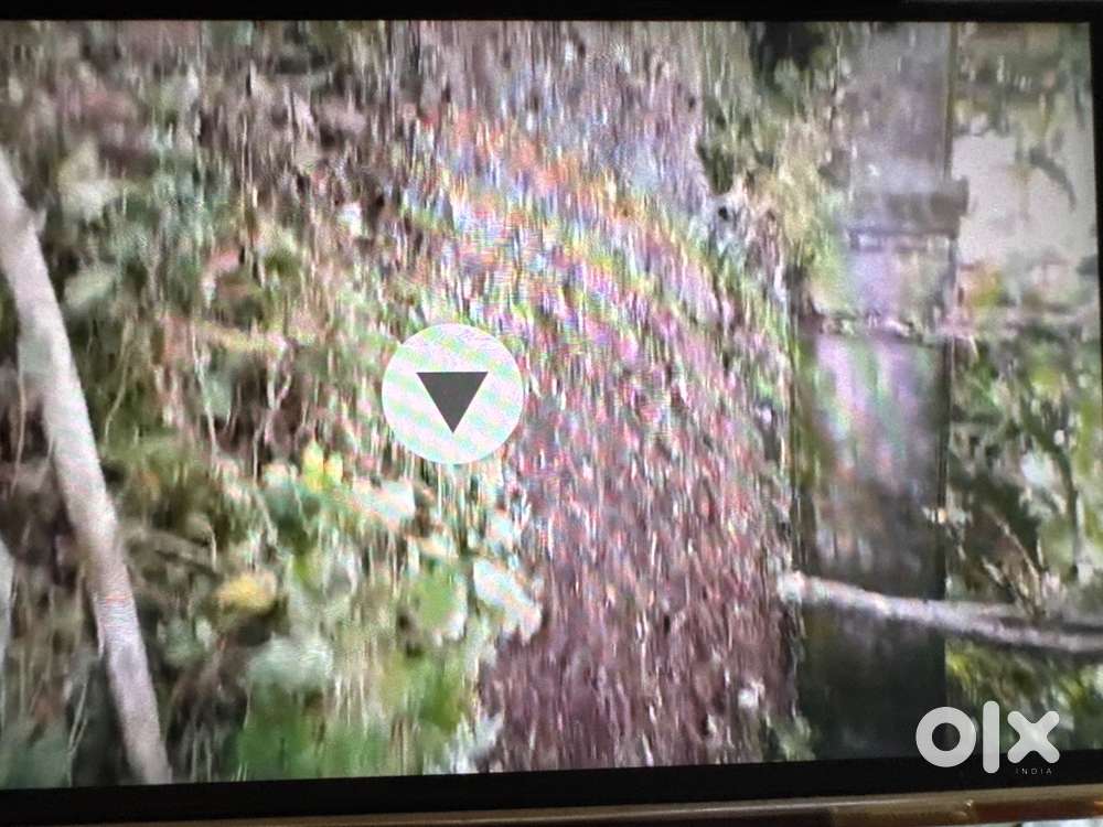 7cents land in Chanthavila 50m from MC road