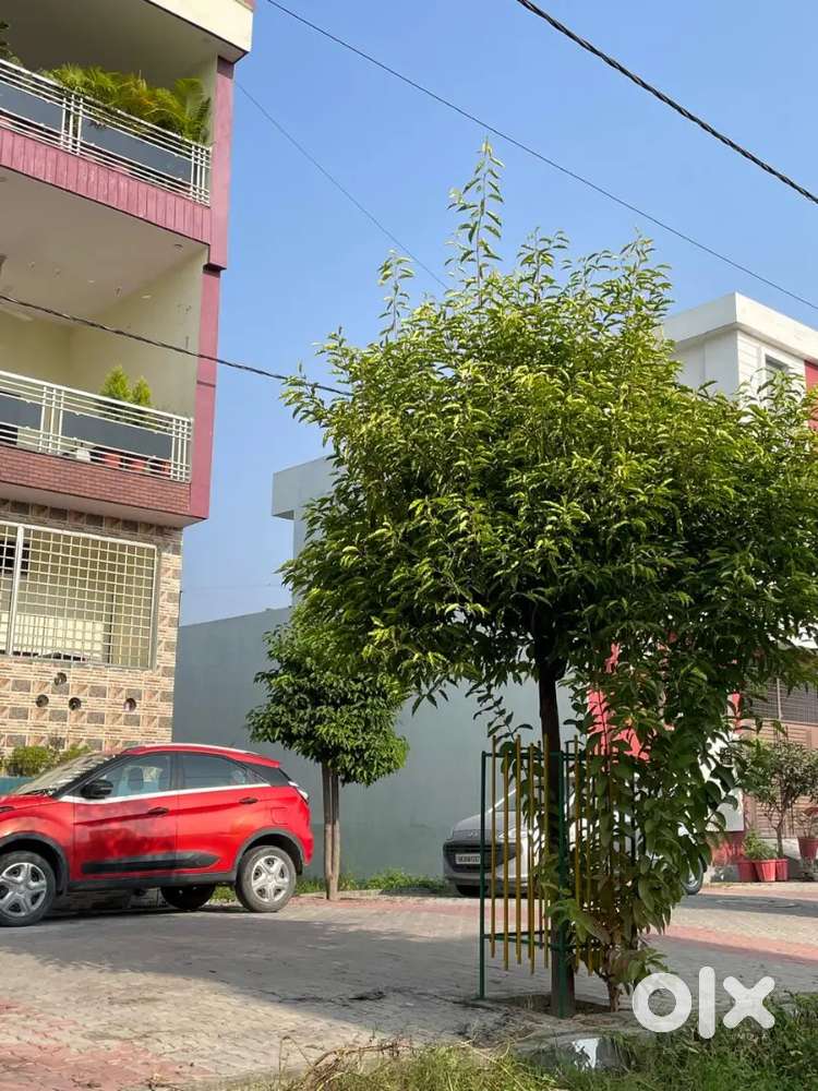 Room available for rent