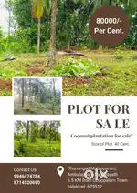 40 Cent Coconut Plantation for Sale Near Ottappalam