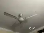 Ceiling fan