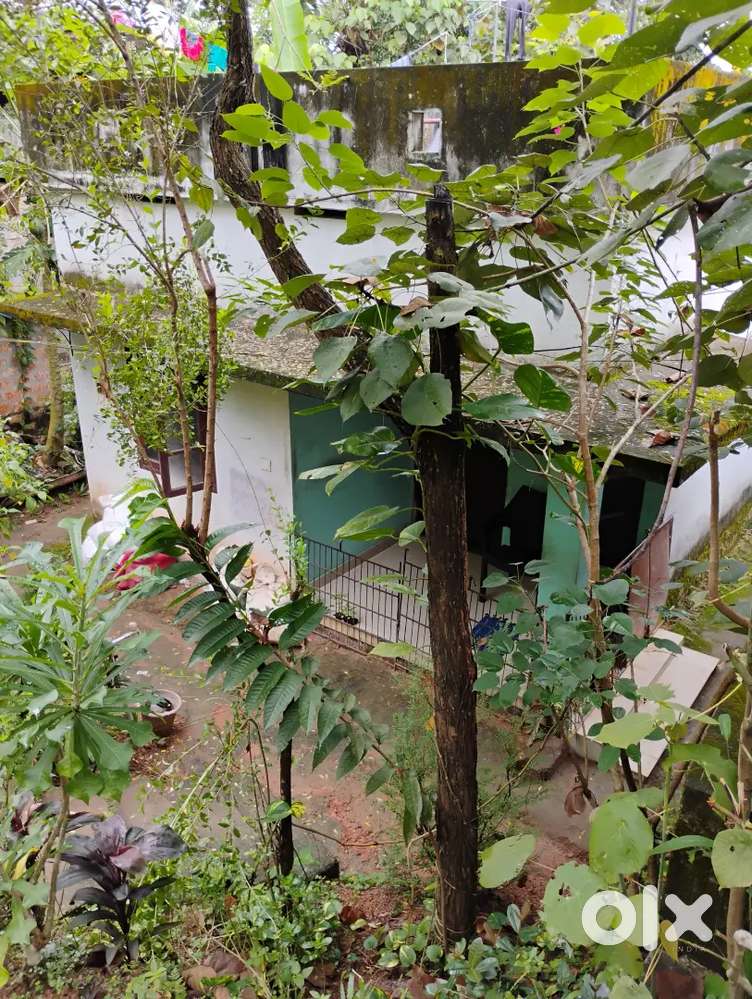 5 cent plot + house . 2 bedroom + kitchen + bathroom + hall & sitout.