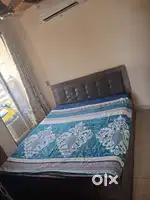 Box Palang Vechvano Che Hydrolic Open Door Back Side Pillow