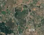 Farm land with income,  Mango, coconut farm  near Tindivanam