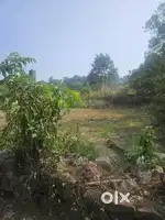 RESIDENTIAL LAND IN KAKKANAD INFOPARK THEVAKKAL–TAR ROAD FRONTAGE