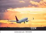 Freshers apply fast and join us indigo Airlines