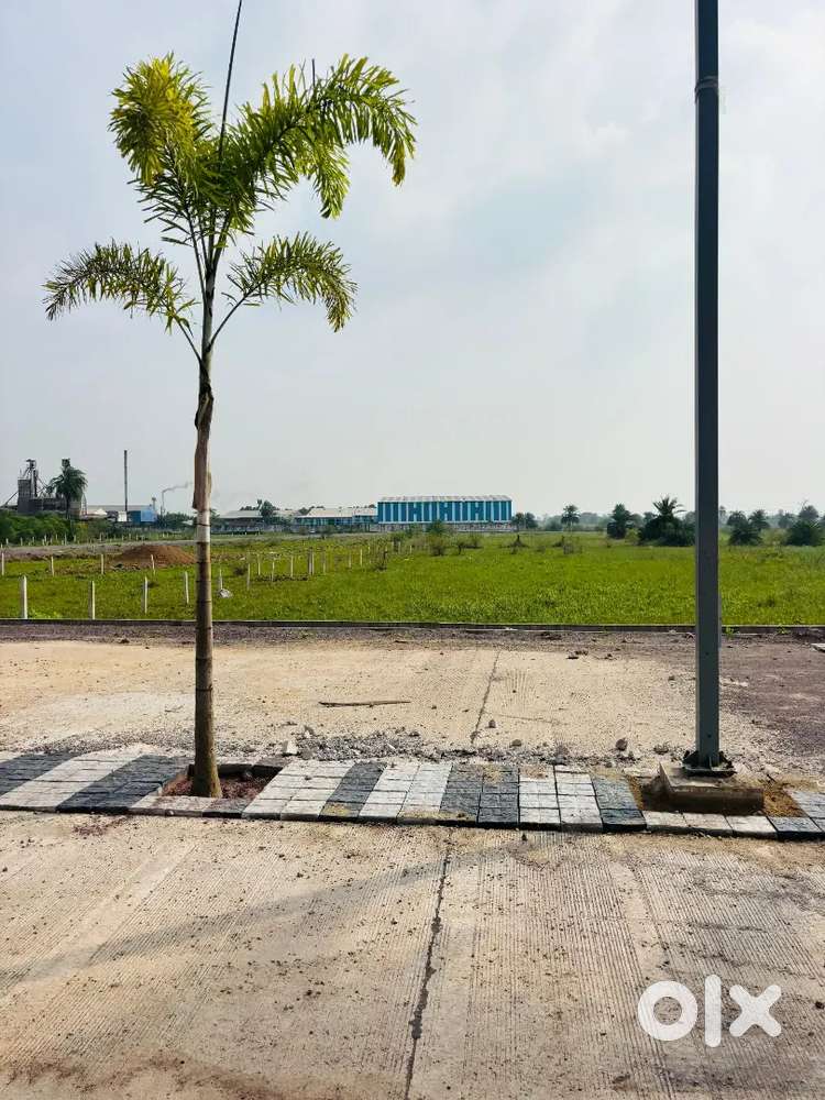 Chandkhuri City, 5 Minits from Pulgaon Chowk, Durg-Bhilai me Plot