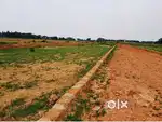 Affordable Plots For Sale in Nachhipur Bhubaneswar