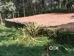 10 Cent Roadside Plot for Sale – Karukadam, Near Ambalampadi (Kothaman