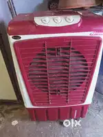 Cooler cooler