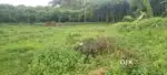 Paingottoor kaloor Thodupuzha plots for sale #15 cent