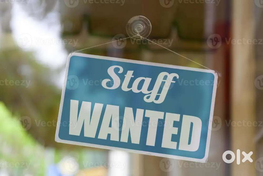 Wanted office staff cum billing staff at lottery shop