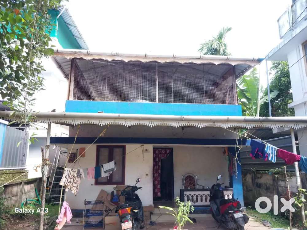 2bhk independent house for rent at aluva East kadungalloor