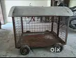 DOG HOSTEL DOG CAGE Dog hair cutting facility available