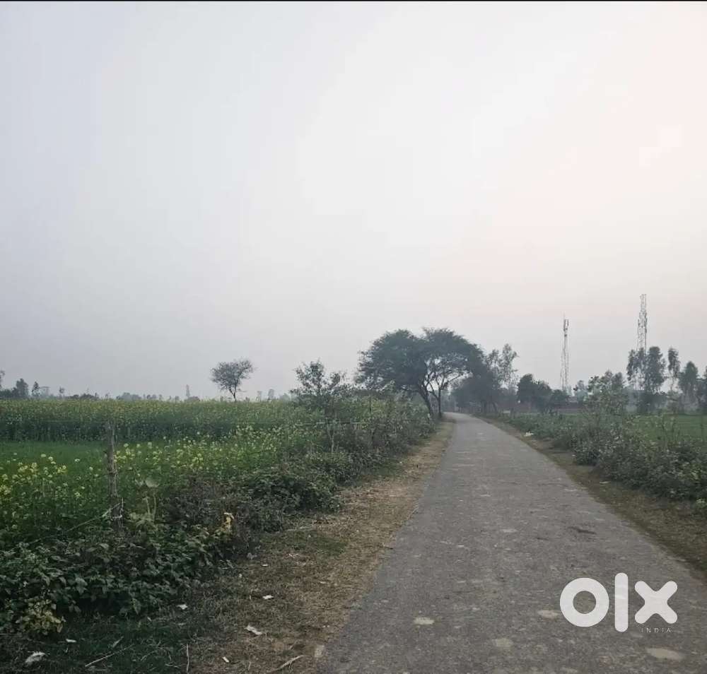 Land for sale in cheap price in Bareilly and Budaun UP