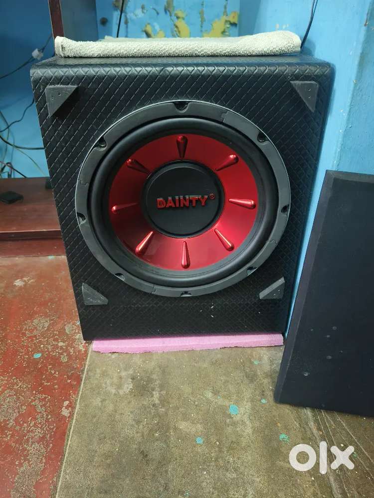 Dianty 10 inch 8 ohms subwoofer  ₹3500