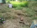 Residential plot