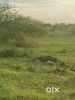 Residential Plot for Sale – 1200 sq ft  Near New Ring Road