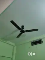 Ceiling fan