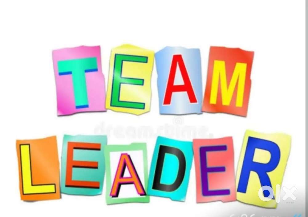 TEAM LEADER