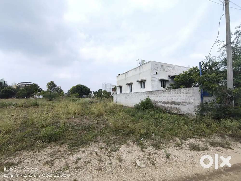 VILANKNKURICHI AMD NAGAR 30*45 EAST FACING DTP SITE FOR SALE
