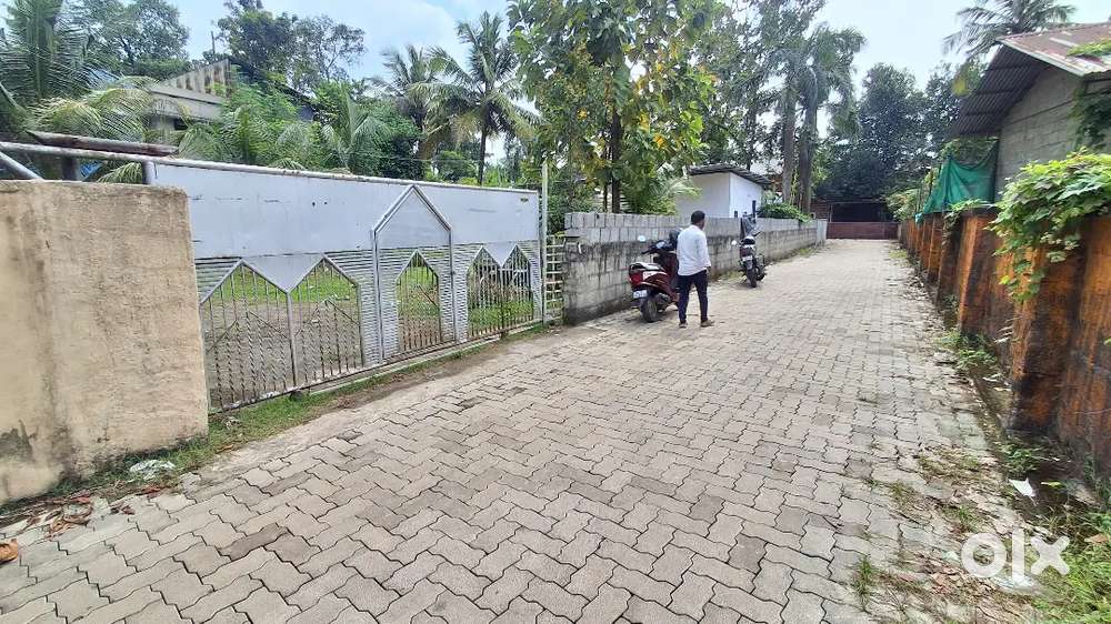 8 Cent Land for Sale Vazhakkala,Near Mary Matha School