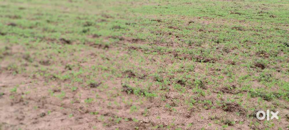 3 acer agriculture land pure red soil in vayalpad mandal